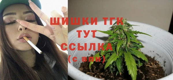 соль ск Белокуриха