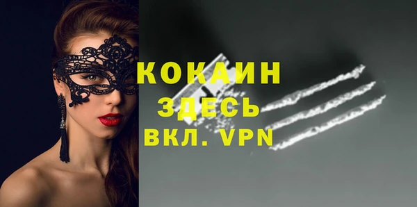 соль ск Белокуриха
